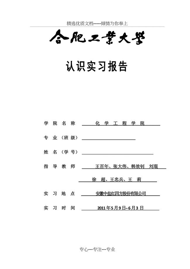 安徽中盐红四方生产实习报告