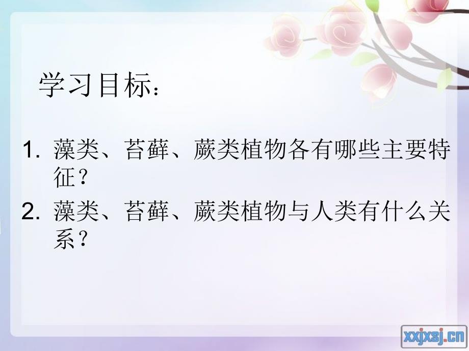 藻类、苔藓和蕨类植物_第2页