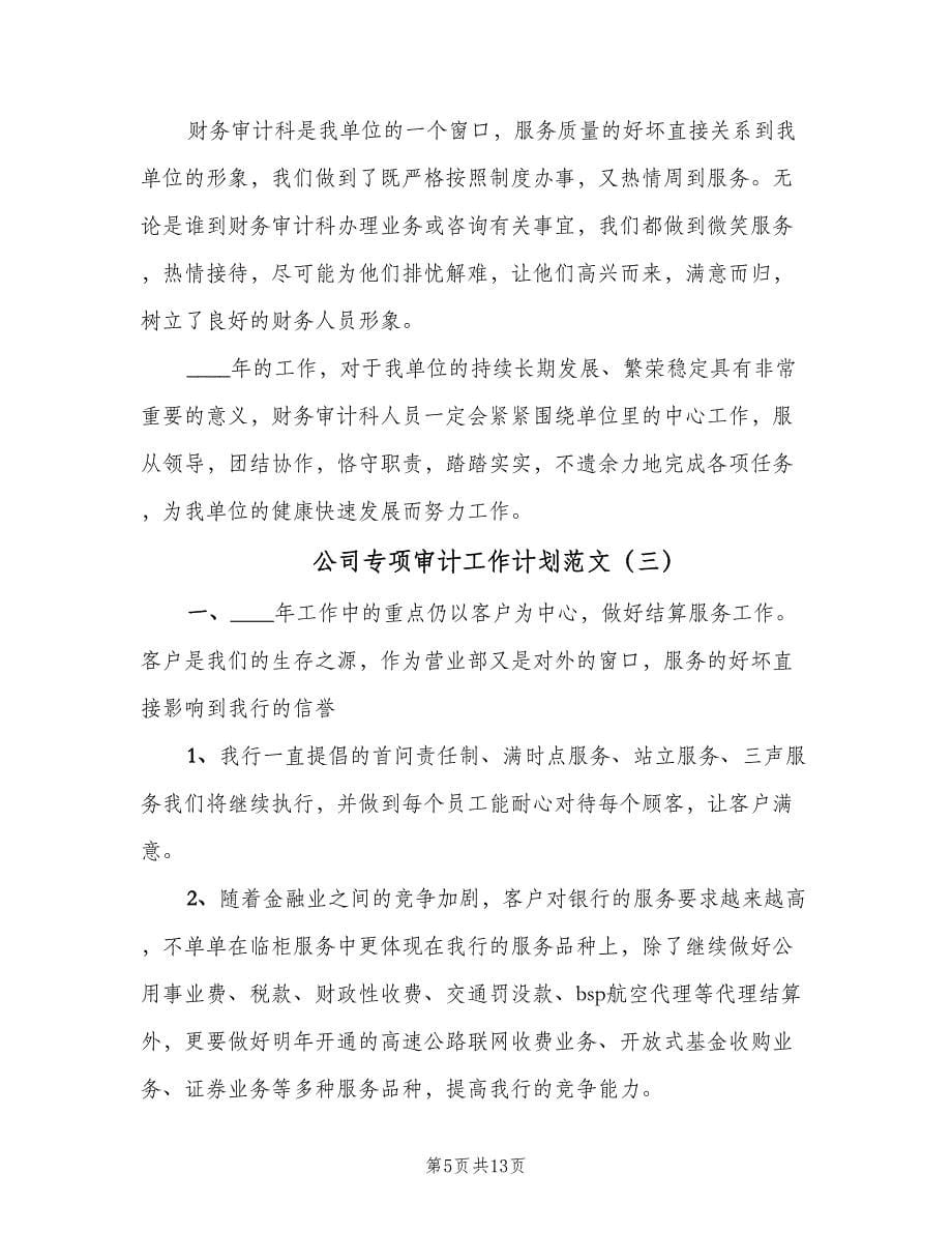 公司专项审计工作计划范文（五篇）.doc_第5页