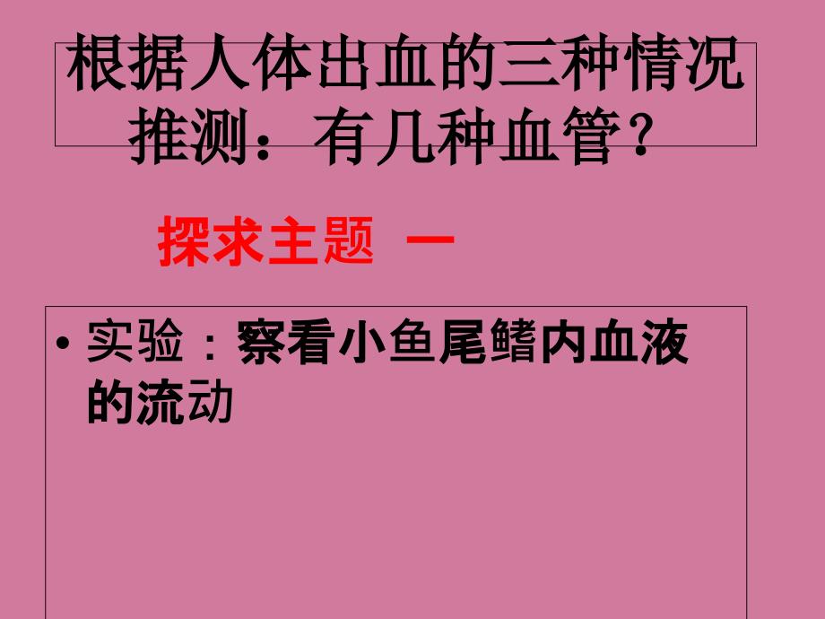 生物七年级上册4.4.2物质运输的管道.ppt课件_第4页