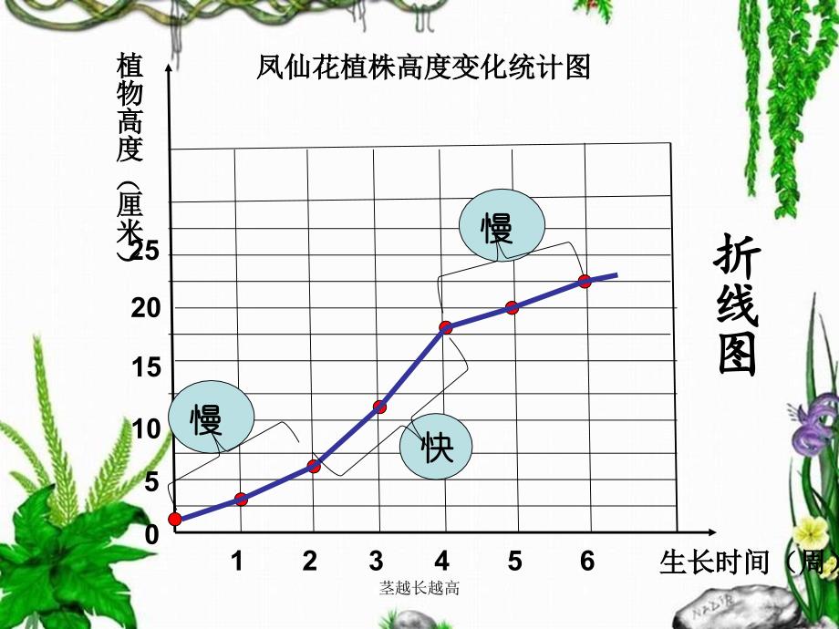 茎越长越高课件_第3页