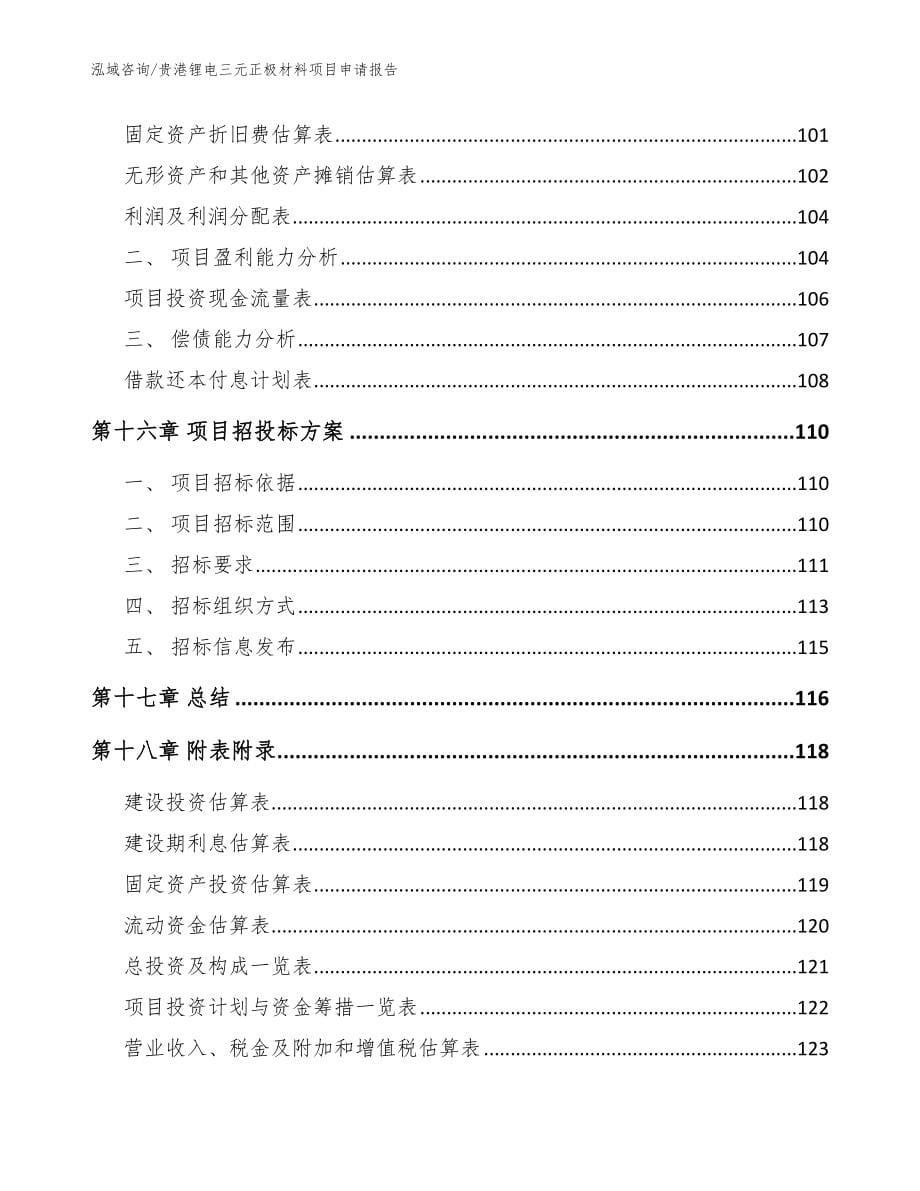 贵港锂电三元正极材料项目申请报告（模板）_第5页