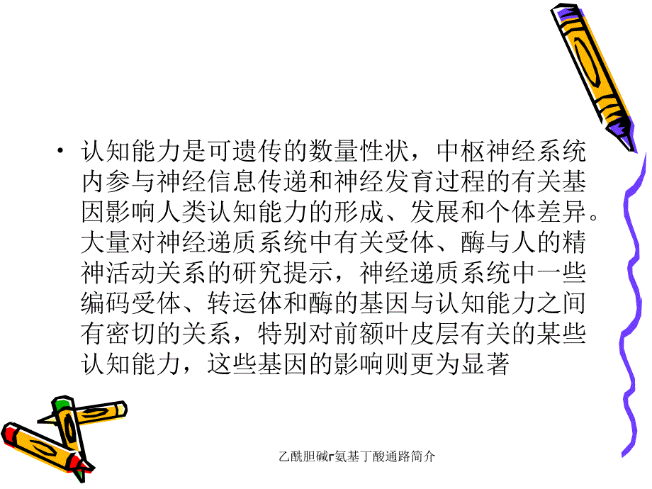 乙酰胆碱氨基丁酸通路简介课件_第2页