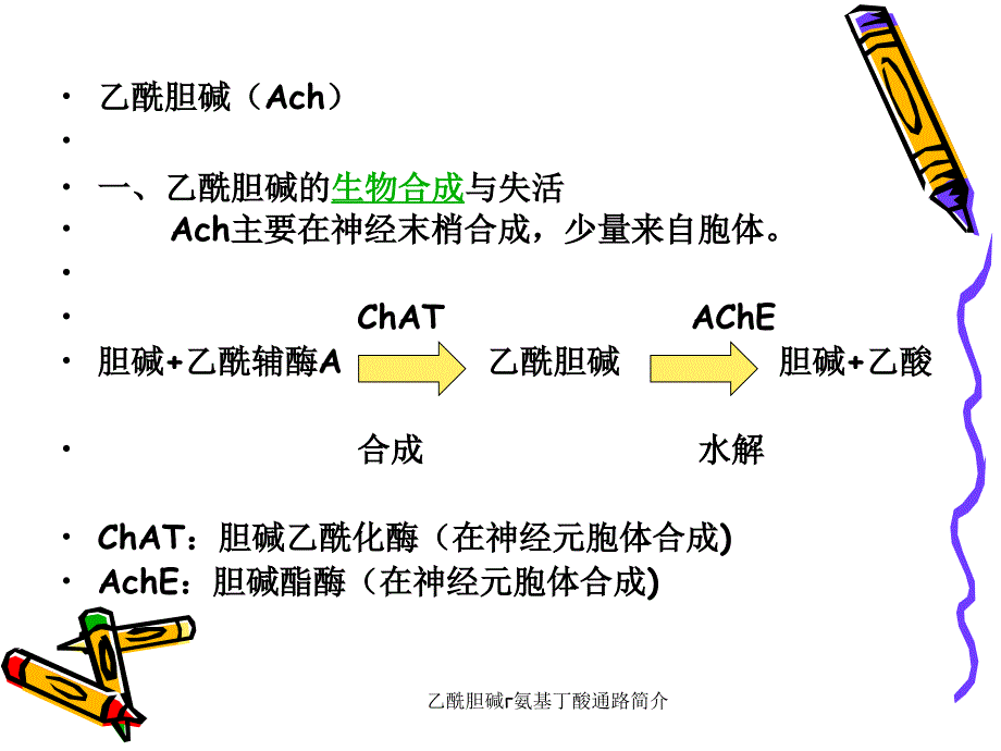 乙酰胆碱氨基丁酸通路简介课件_第5页