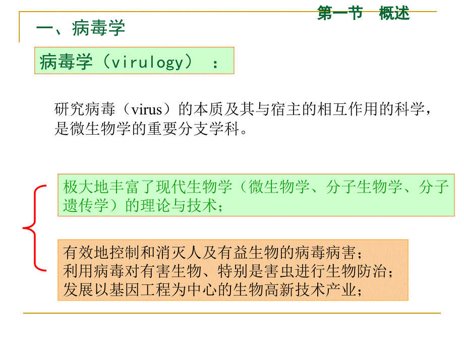 4第三章病毒 xin_第2页