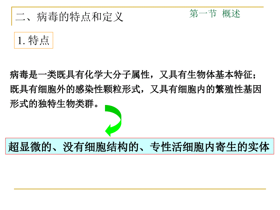 4第三章病毒 xin_第4页