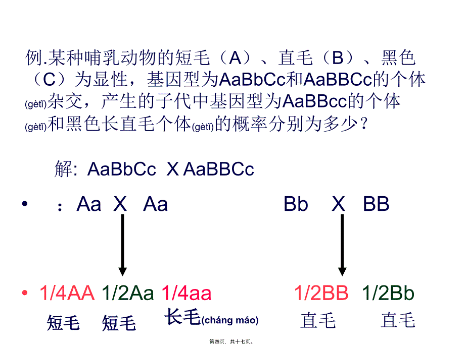 医学专题—两种遗传病概率计算17438_第4页