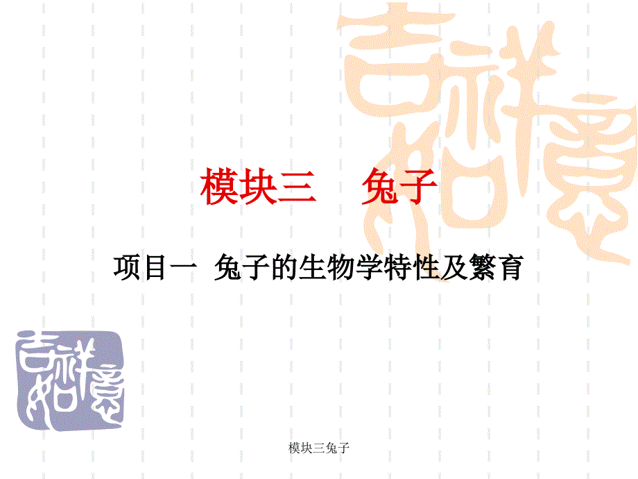 模块三兔子课件_第1页