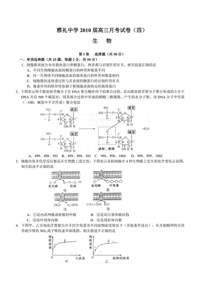 湖南省雅礼中学2010届高三第四次月考--生物(Word版).doc