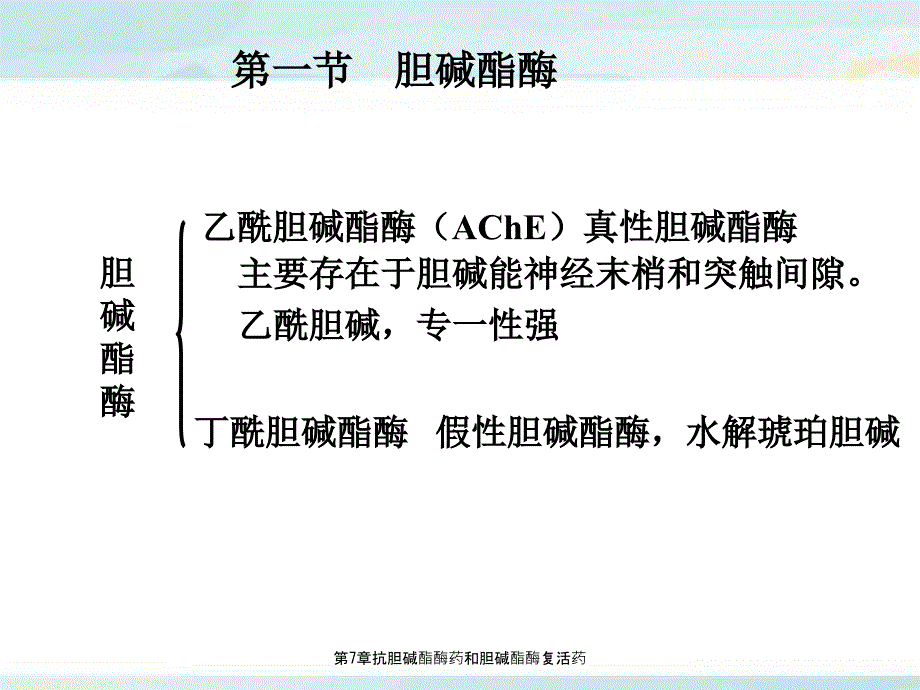 第7章抗胆碱酯酶药和胆碱酯酶复活药_第2页