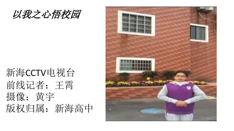 如何对待校园欺凌共17张PPT_第5页