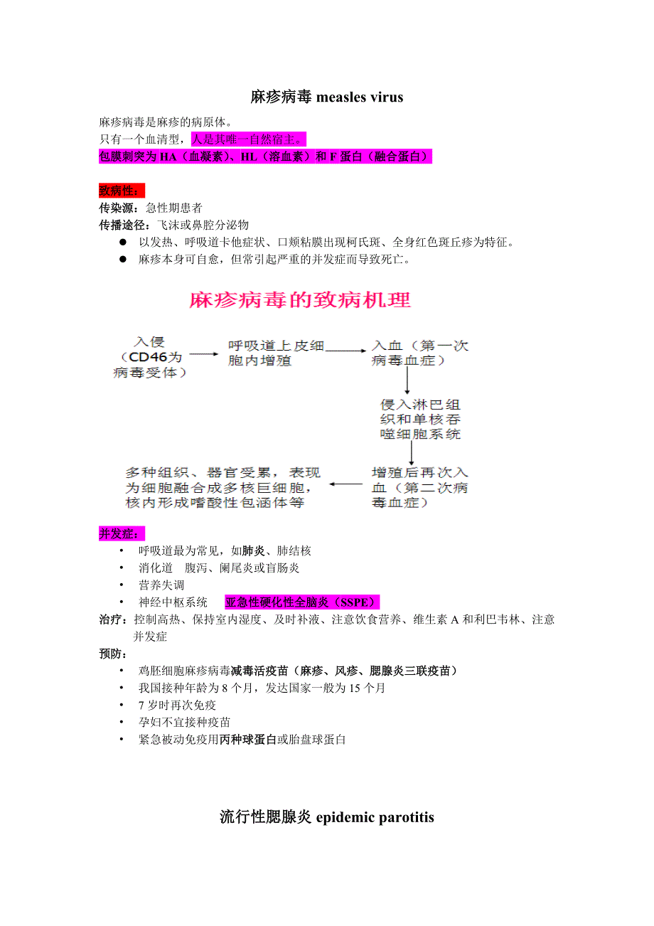 病毒学复习资料：呼吸道感染病毒_第4页