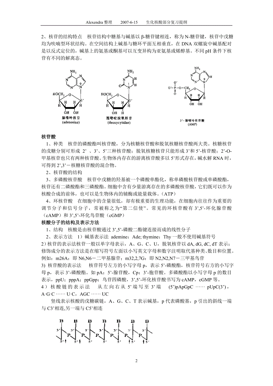 核酸的组成和分类.doc_第2页