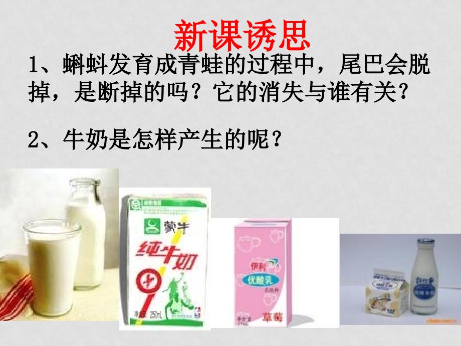 高中生物 细胞器系统内的分工合作课件人教版必修一_第2页