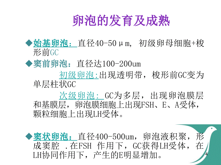 卵泡的生长发育和卵巢低反应ppt参考课件_第4页