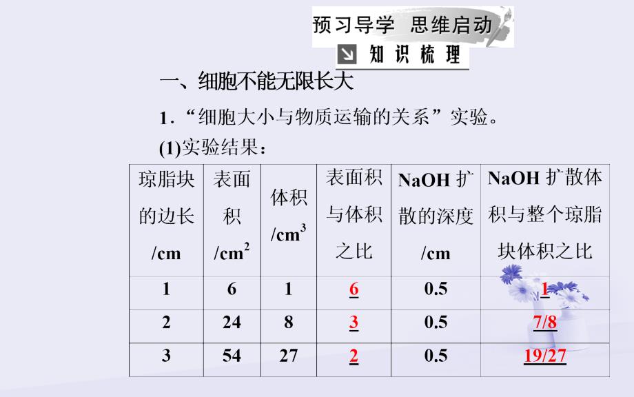 2018秋高中生物 第六章 细胞的生命历程 第1节 第1课时 细胞周期和植物细胞的有丝分裂课件 新人教版必修1_第3页