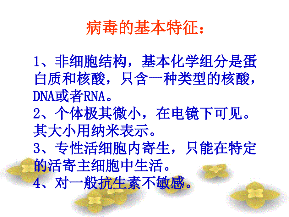 《微生物学病毒》课件_第2页