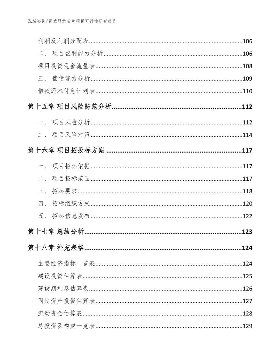 晋城显示芯片项目可行性研究报告（参考范文）_第5页