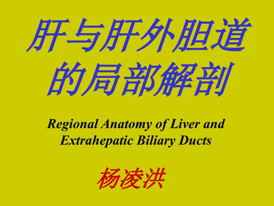 中国医科大学肝Liver_第1页