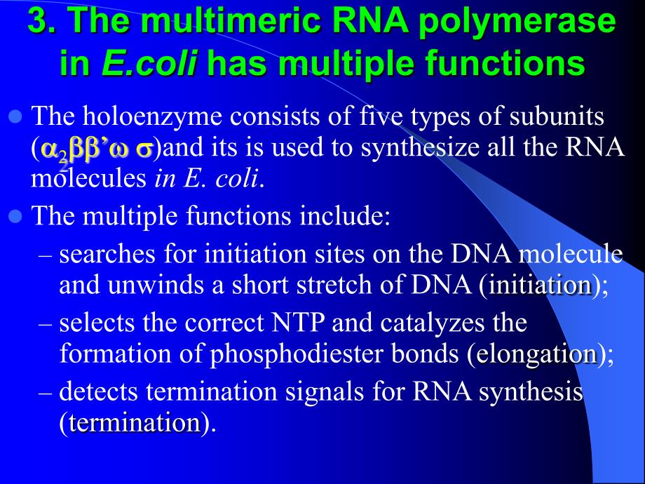 生物化学讲义Chapter26(complete)RNAMetabolism_第4页