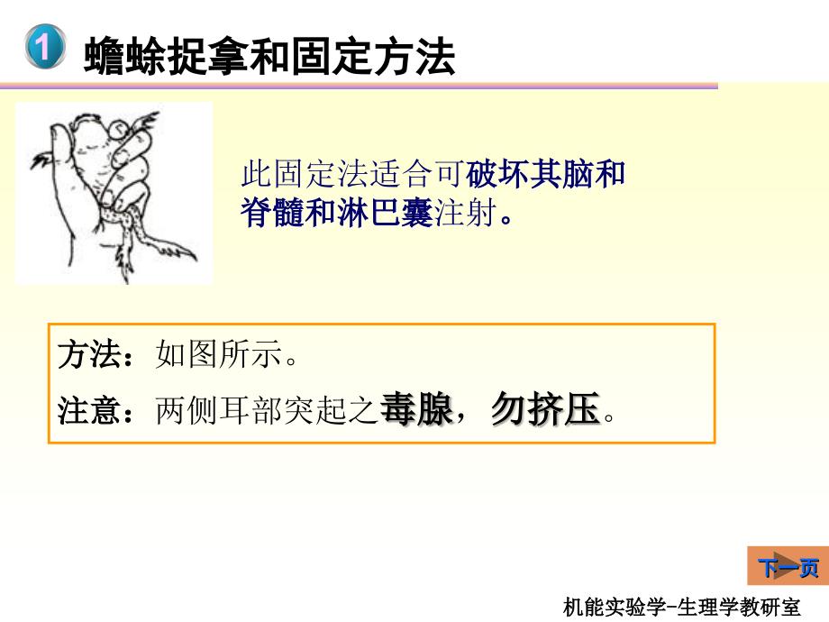 机能实验学-实验动物基本操作_第4页