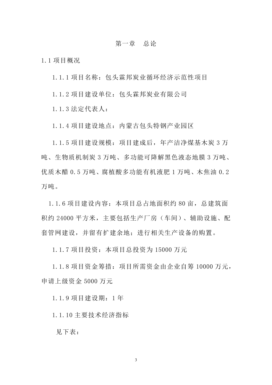 炭业循环经济示范性项目可行性策划书.doc_第3页