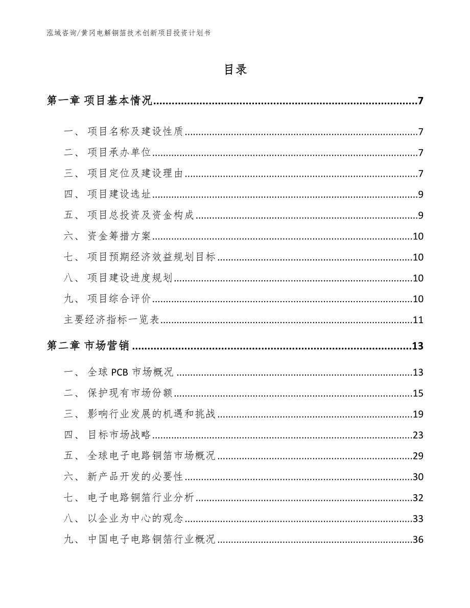 黄冈电解铜箔技术创新项目投资计划书_参考模板_第1页