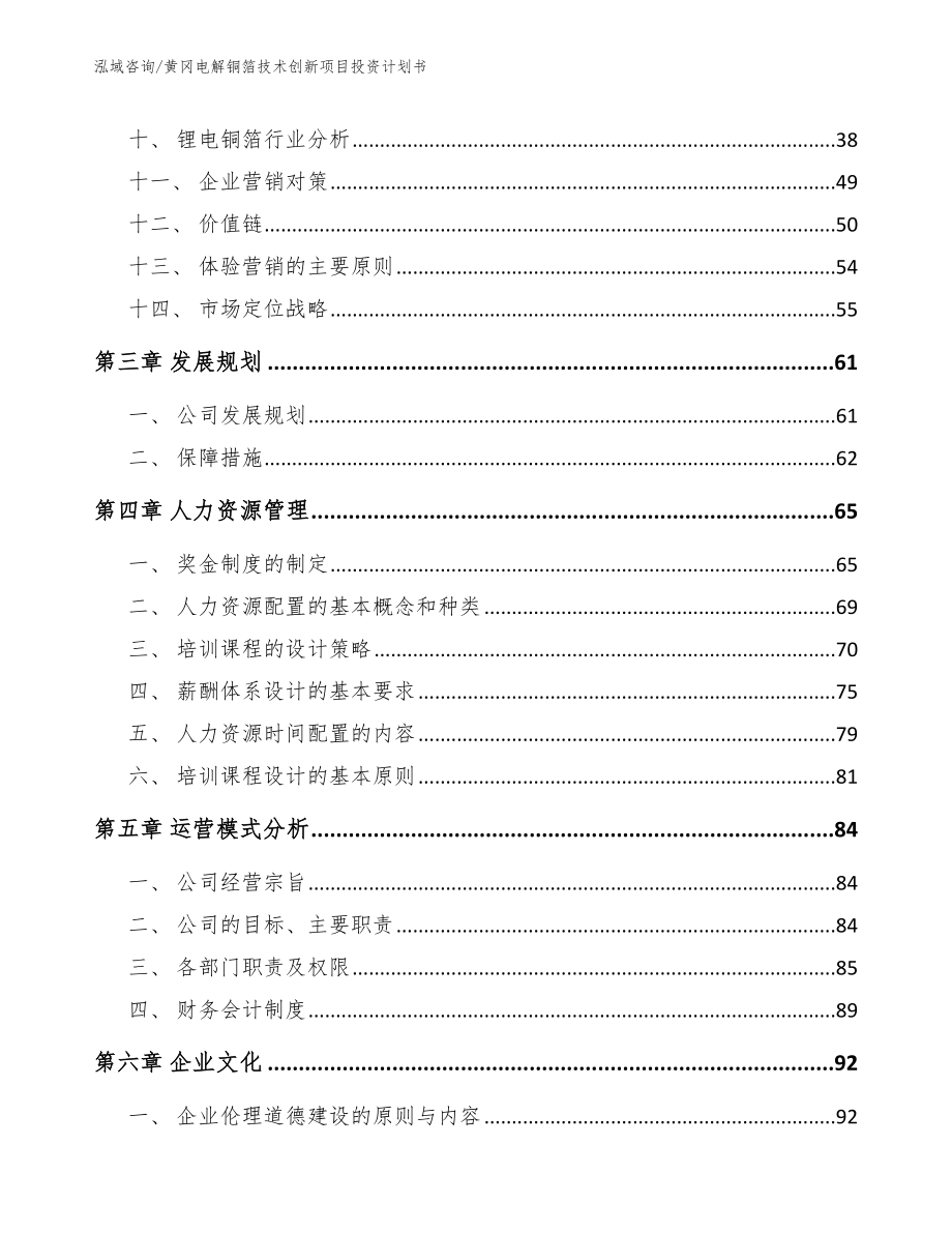 黄冈电解铜箔技术创新项目投资计划书_参考模板_第2页