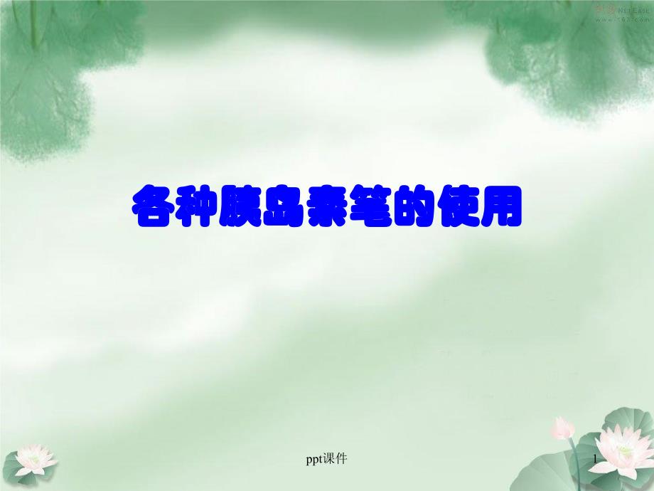 各种胰岛素笔的使用课件_第1页