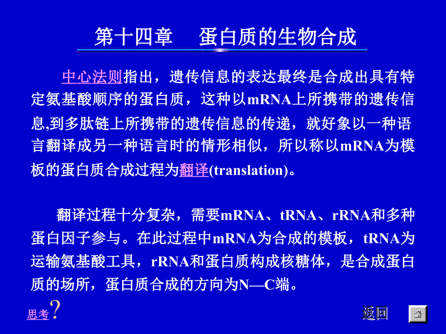 第十四章蛋白质的生物合成_第1页