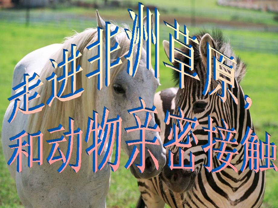 走进非洲草原_第1页