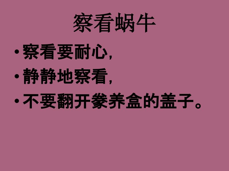 科学第二单元蜗牛一ppt课件_第3页