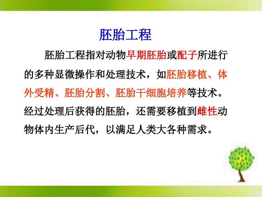 体内受精和早期胚胎发育参考课件1_第3页