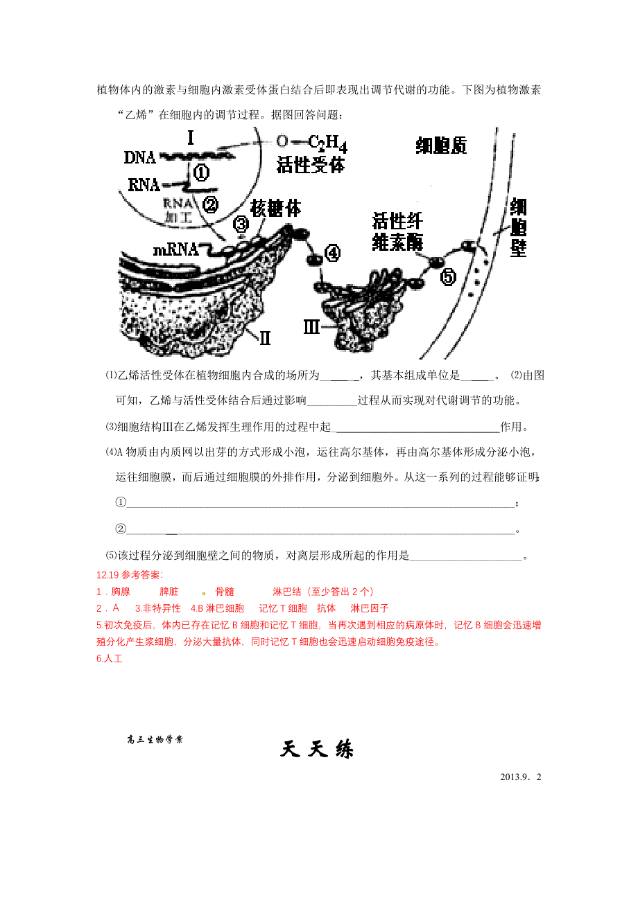 高三上学期生物天天练.doc_第3页