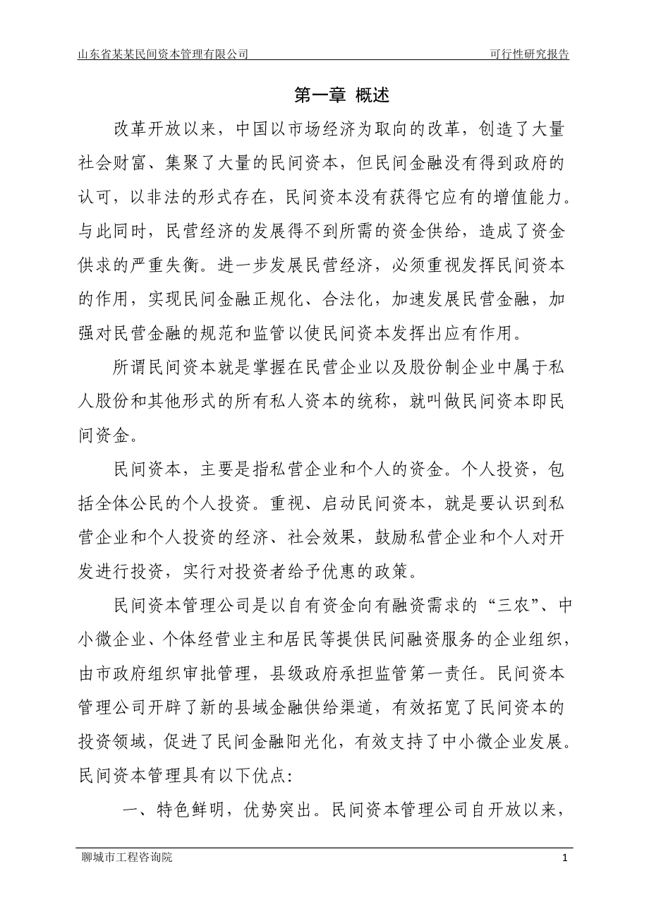 山东省某某民间资本管理有限公司设立可行性策划书.doc_第2页