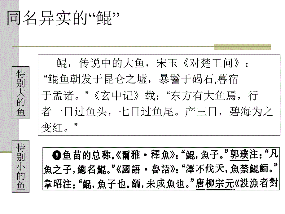 北冥有鱼王力古代汉语_第3页