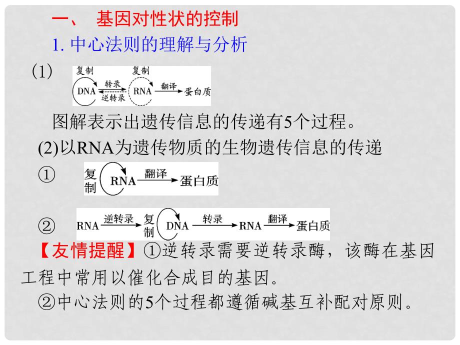 高中生物《第四章 第二节 基因对性状的控制》课件6 新人教版必修2_第4页