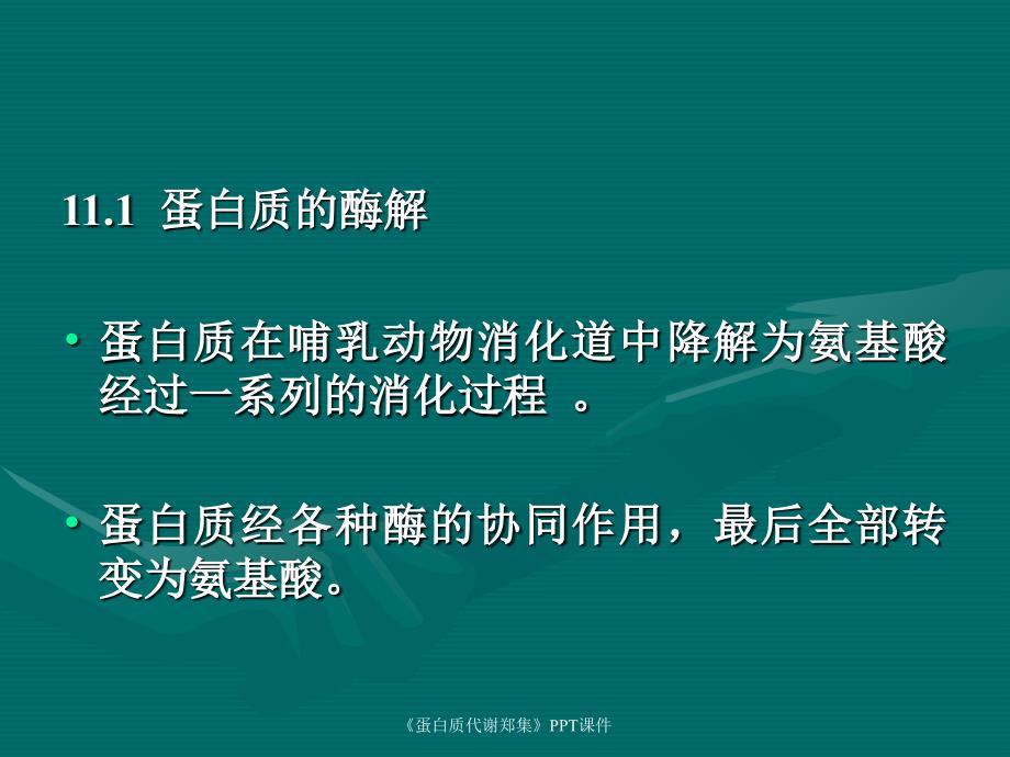 蛋白质代谢郑集课件_第3页