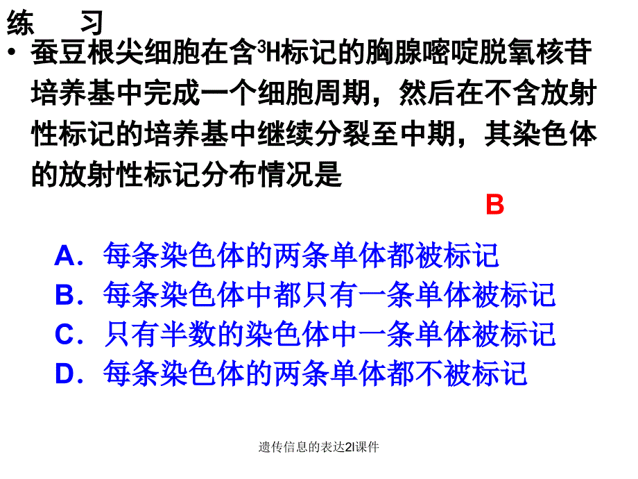 遗传信息的表达2l课件_第2页