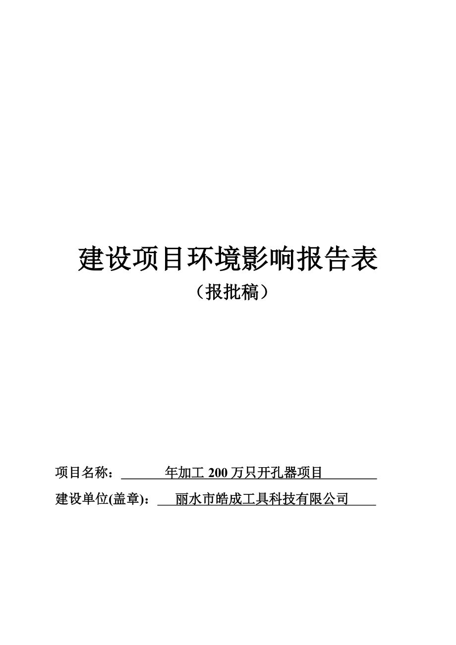 丽水市皓成工具科技有限公司年加工 200 万只开孔器项目环境影响报告.docx_第1页