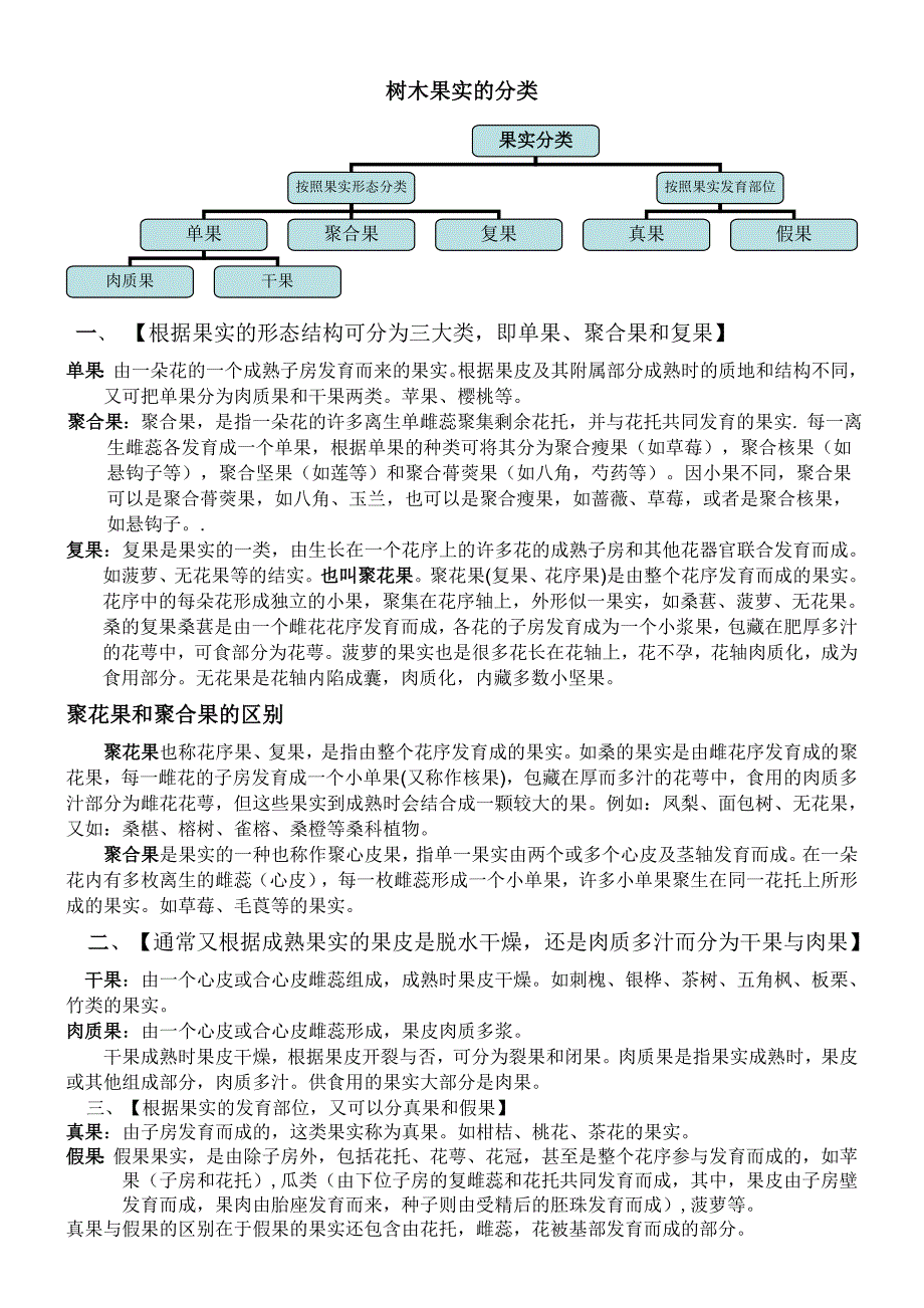 树木果实的分类.doc_第1页