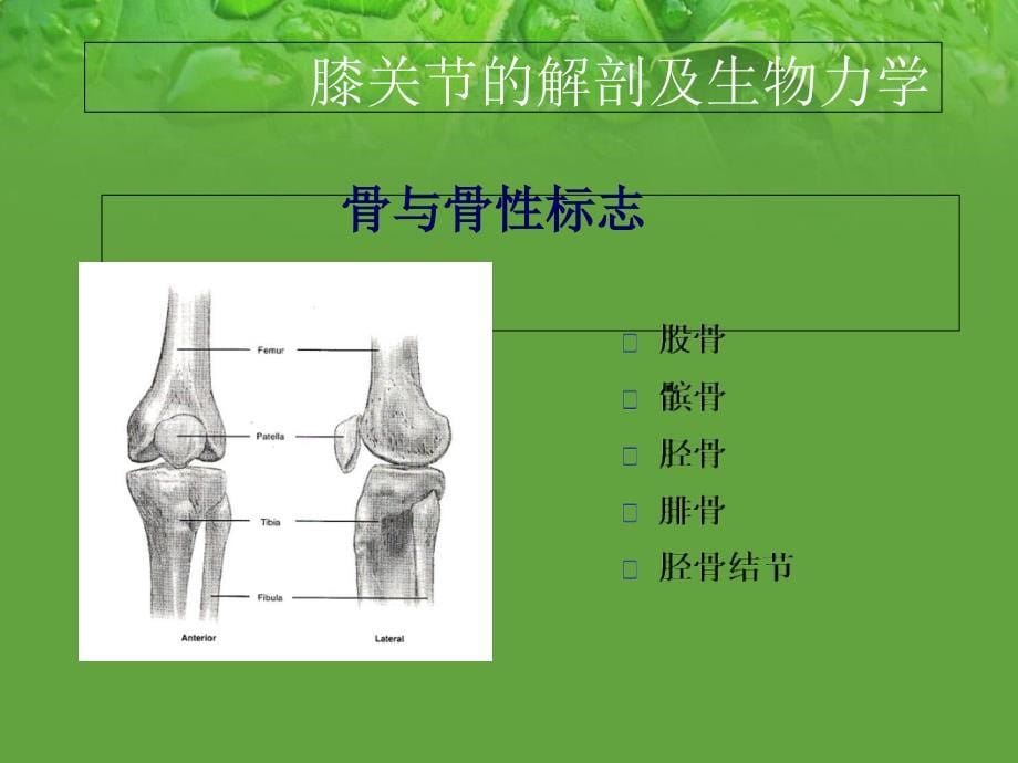 膝关节置换手术与护理ppt参考课件_第5页