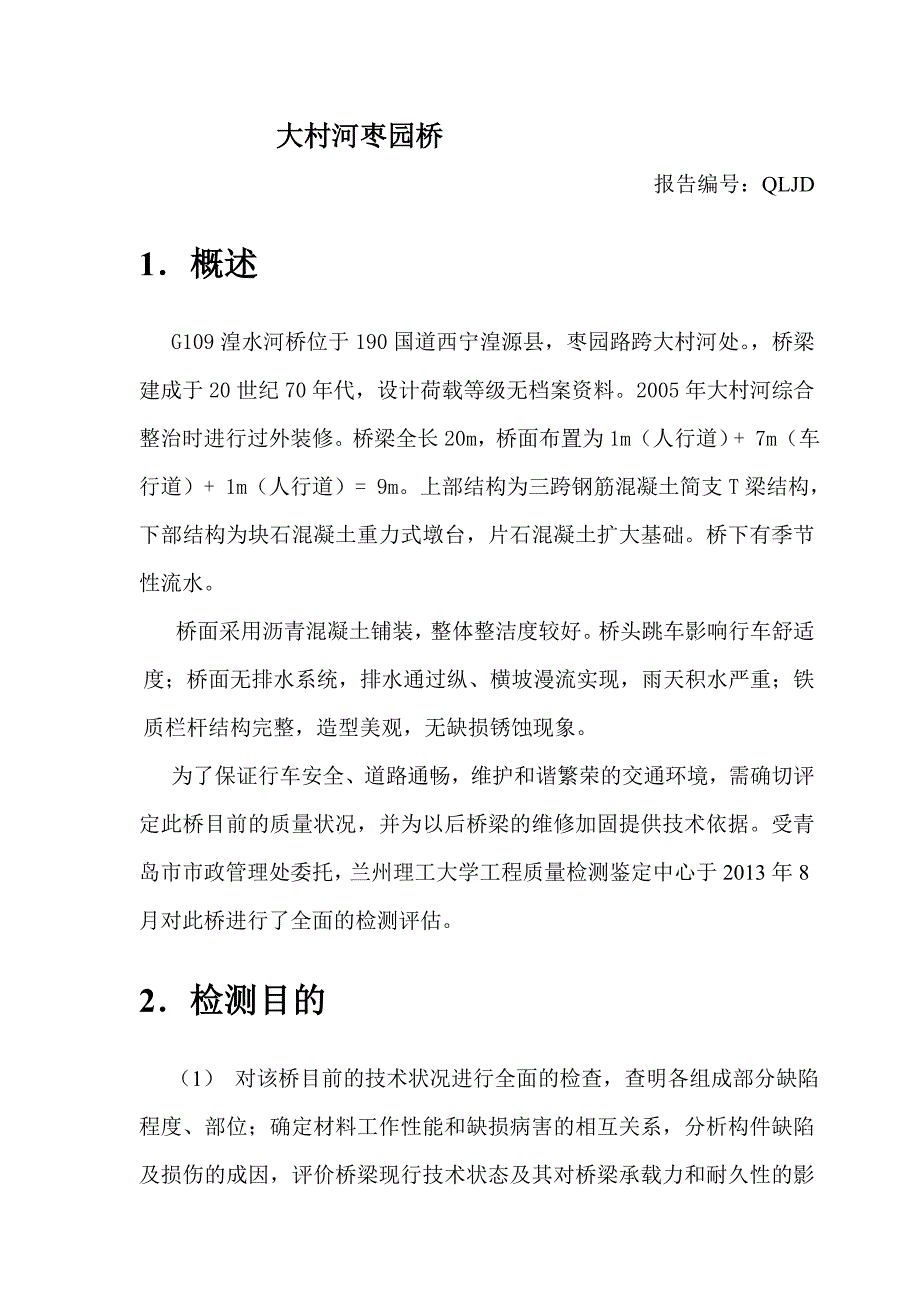 胡晓斌桥梁检测报告_第1页