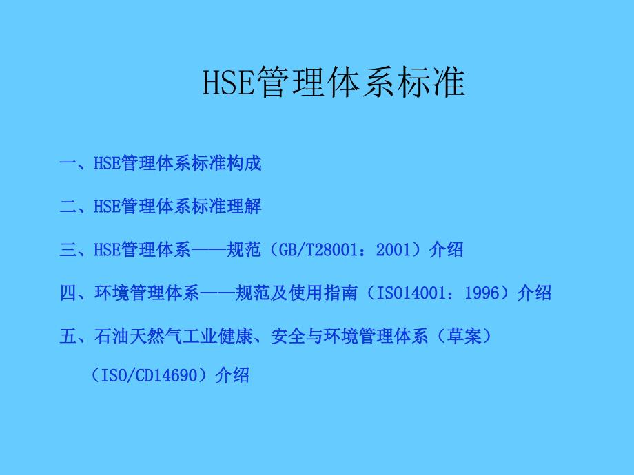 HSE管理体系标准_第2页