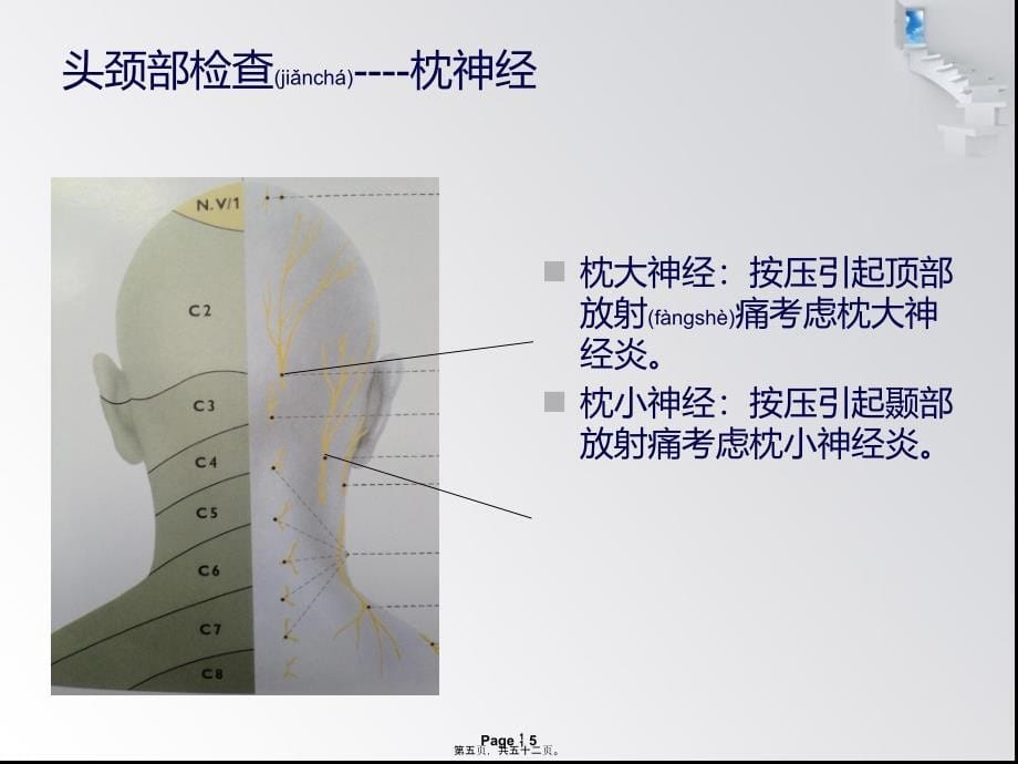 医学专题—疼痛科常用体检及意义_第5页