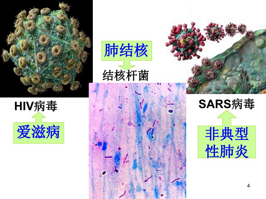 远离传染病课堂PPT_第4页