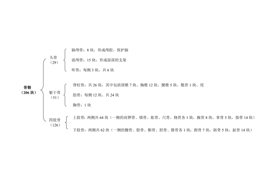 骨骼数量分布.doc_第1页