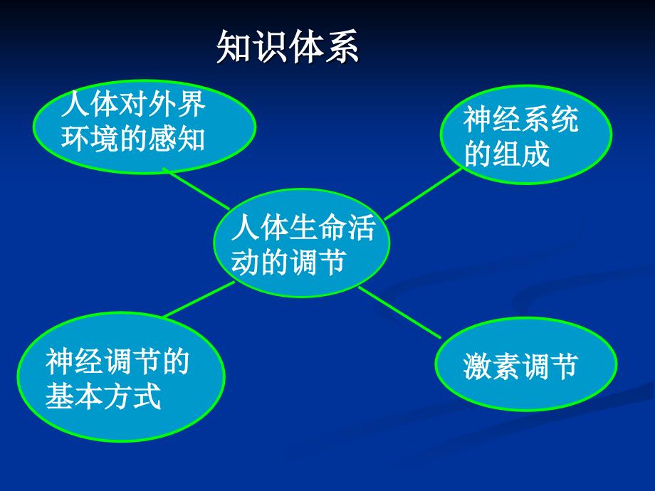 第六章人体生命活动的调节复习课ppt课件(人教版七年级生物下)_第2页