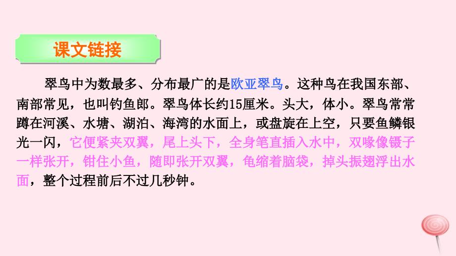 最新三年级语文下册第二单元5翠鸟_第4页