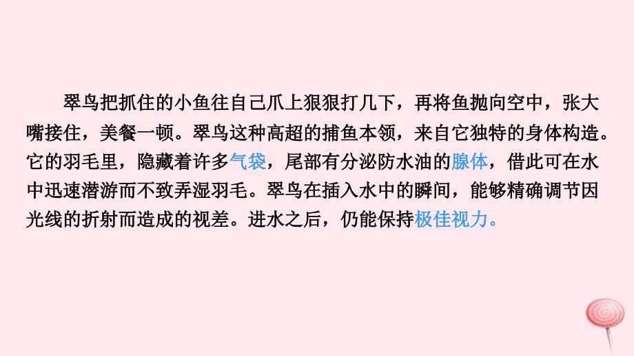 最新三年级语文下册第二单元5翠鸟_第5页